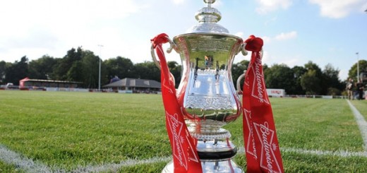 FACup_Budweiser_onpitch