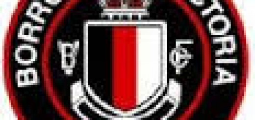 borrowashvics