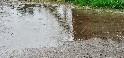 Wet puddle