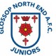 Glossop North End Juniors announce Family Fun Day