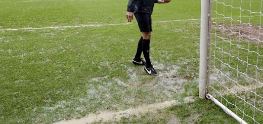 Pitch Inspection