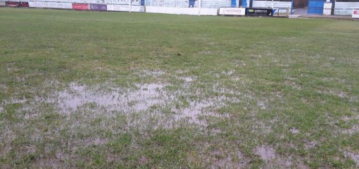 Nelson Pitch Wet
