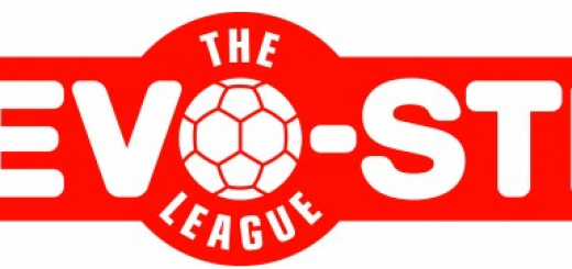 Evo-Stik