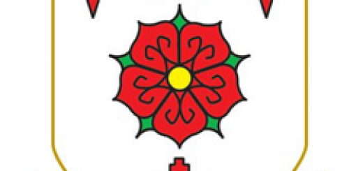 gne_afc_badge