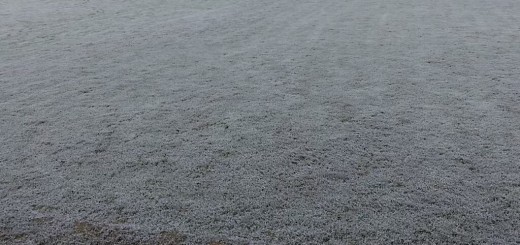IMG_20160116_100306